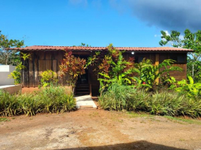 Private Mountaintop Cabin in Carara Biological Corridor 20 minutes to beaches